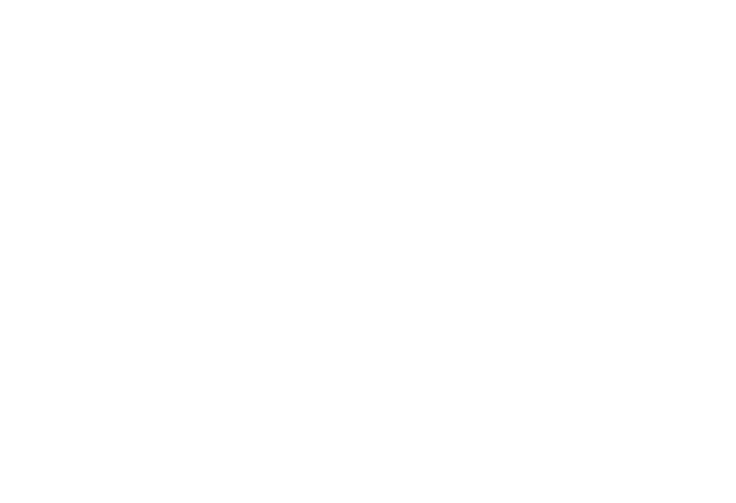 Logo RS international blanco